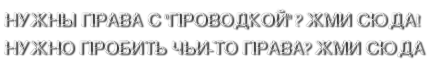 Водительское удостоверение с проводкой по базе